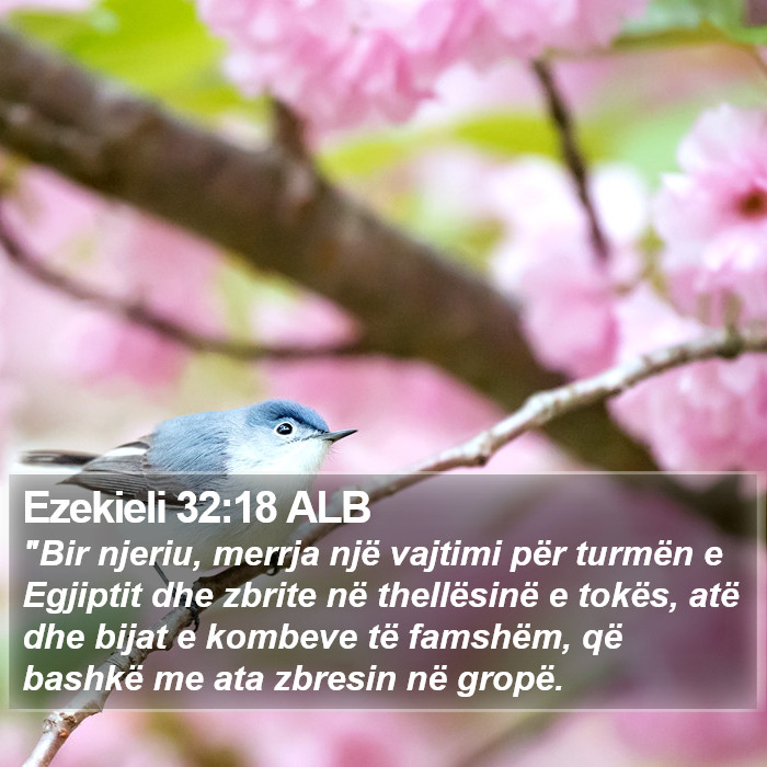 Ezekieli 32:18 ALB Bible Study