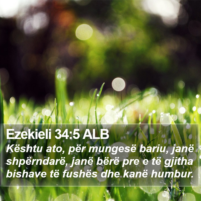 Ezekieli 34:5 ALB Bible Study