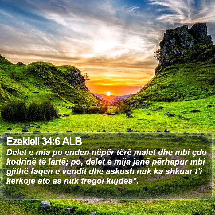 Ezekieli 34:6 ALB Bible Study