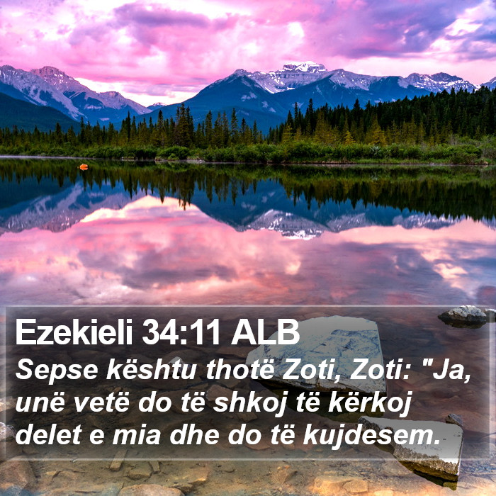 Ezekieli 34:11 ALB Bible Study