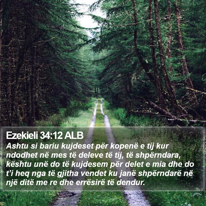 Ezekieli 34:12 ALB Bible Study