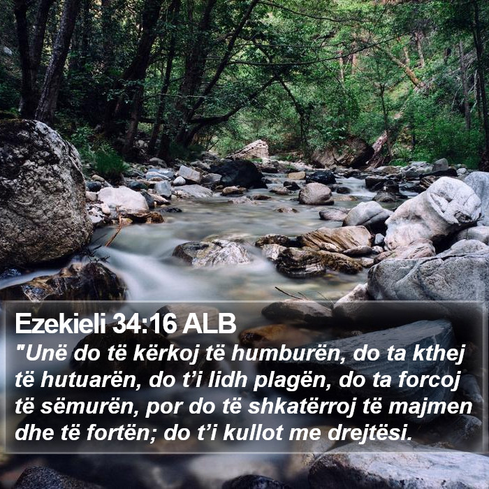 Ezekieli 34:16 ALB Bible Study