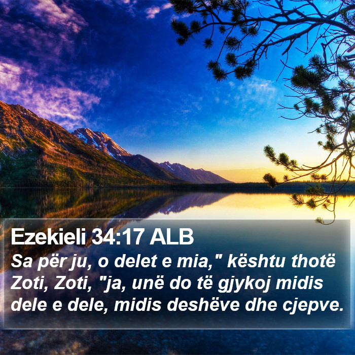 Ezekieli 34:17 ALB Bible Study