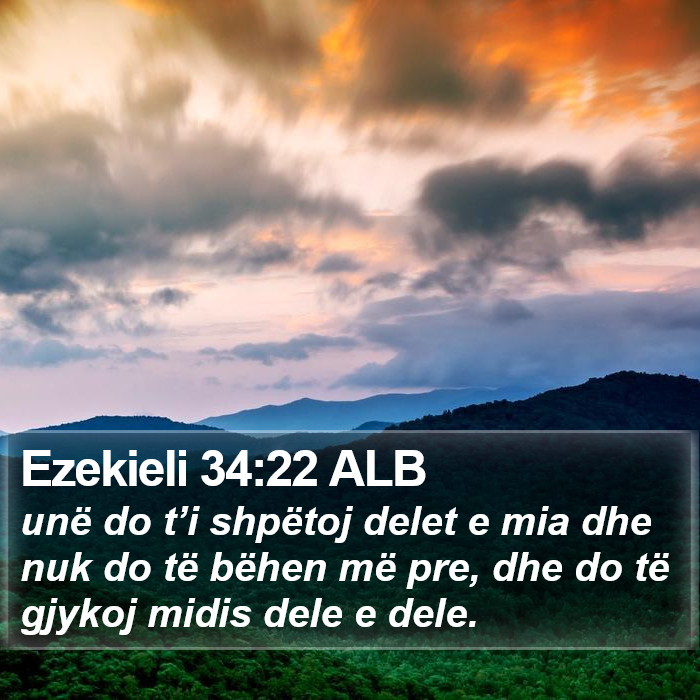 Ezekieli 34:22 ALB Bible Study