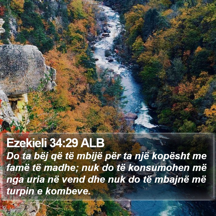 Ezekieli 34:29 ALB Bible Study