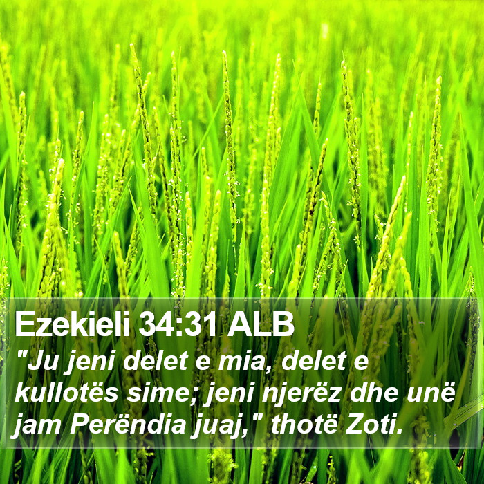 Ezekieli 34:31 ALB Bible Study