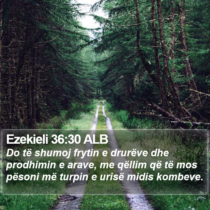 Ezekieli 36:30 ALB Bible Study