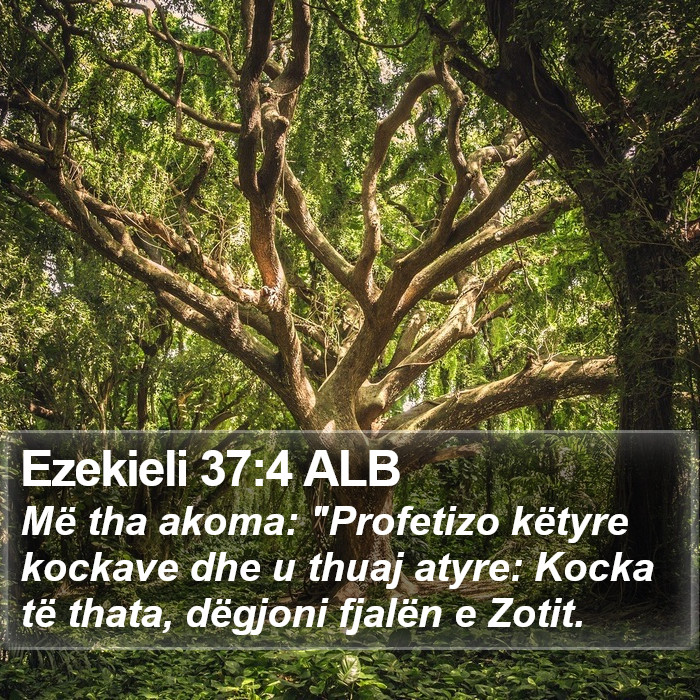 Ezekieli 37:4 ALB Bible Study