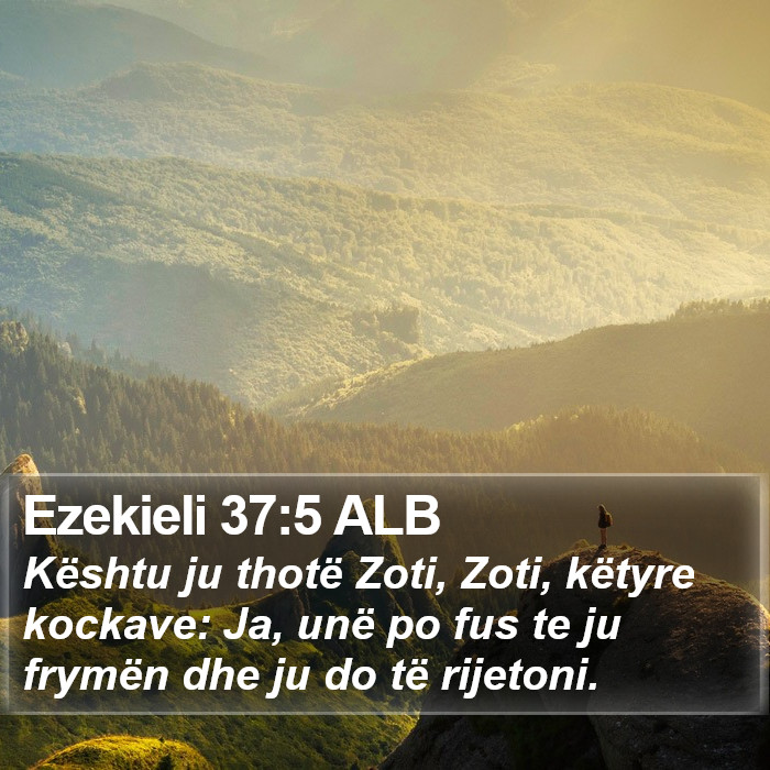 Ezekieli 37:5 ALB Bible Study