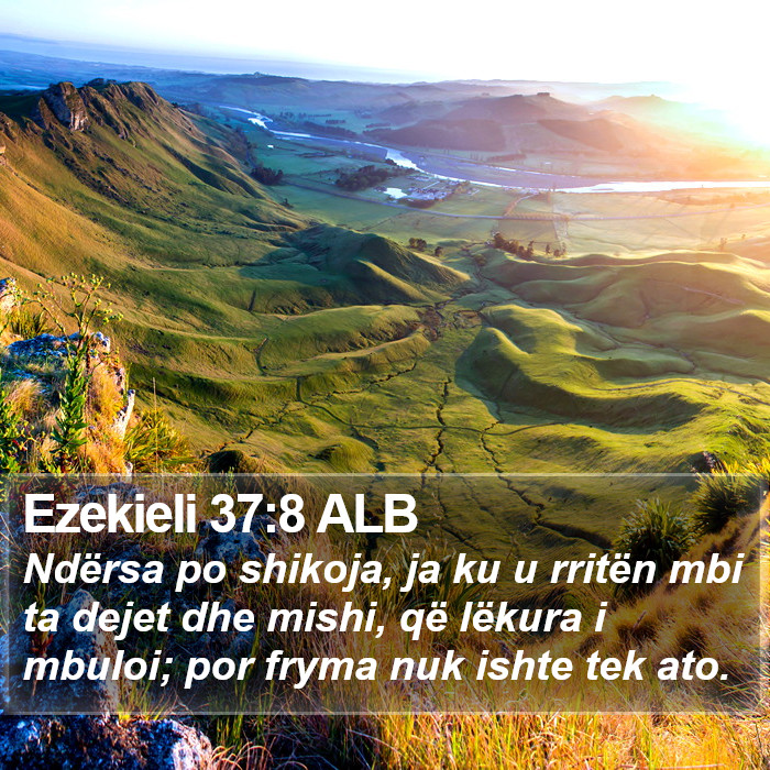 Ezekieli 37:8 ALB Bible Study
