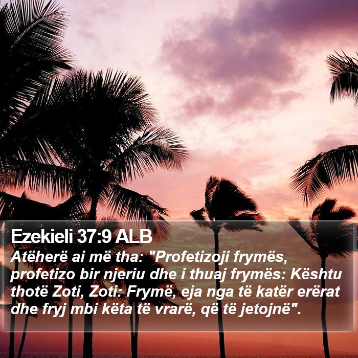Ezekieli 37:9 ALB Bible Study