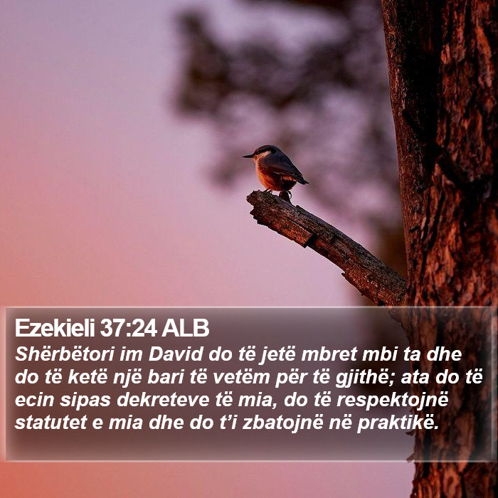 Ezekieli 37:24 ALB Bible Study