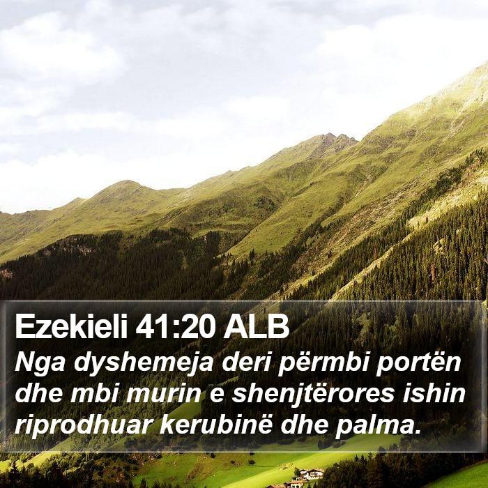 Ezekieli 41:20 ALB Bible Study