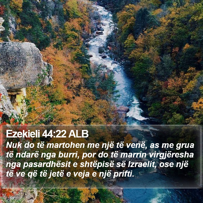 Ezekieli 44:22 ALB Bible Study