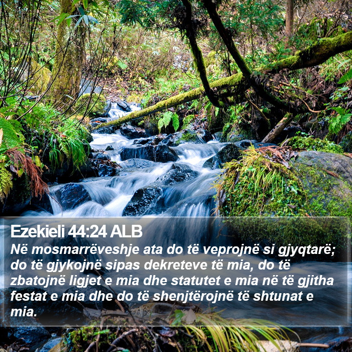 Ezekieli 44:24 ALB Bible Study