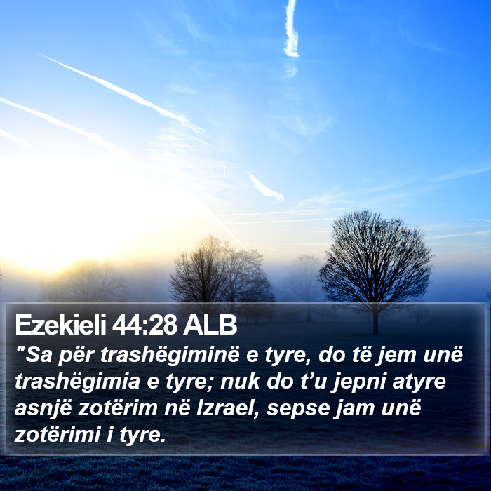 Ezekieli 44:28 ALB Bible Study