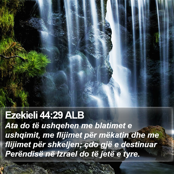 Ezekieli 44:29 ALB Bible Study