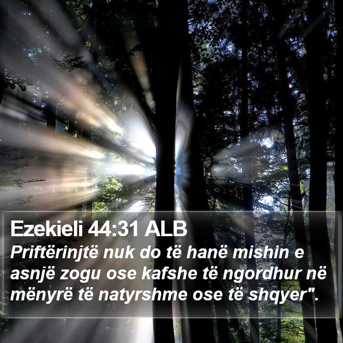 Ezekieli 44:31 ALB Bible Study