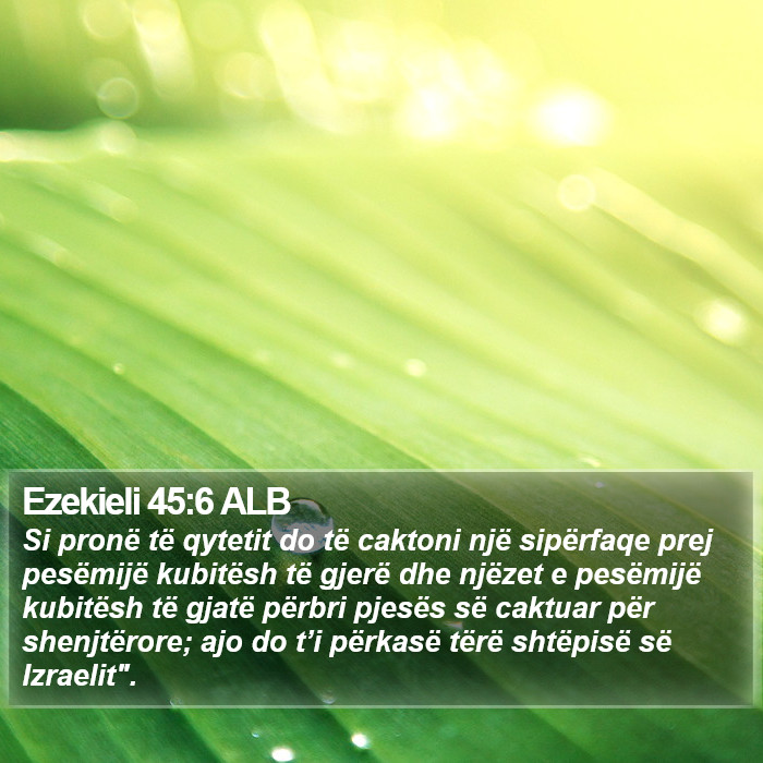 Ezekieli 45:6 ALB Bible Study