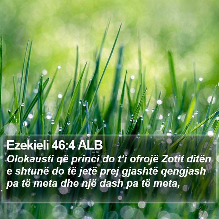 Ezekieli 46:4 ALB Bible Study