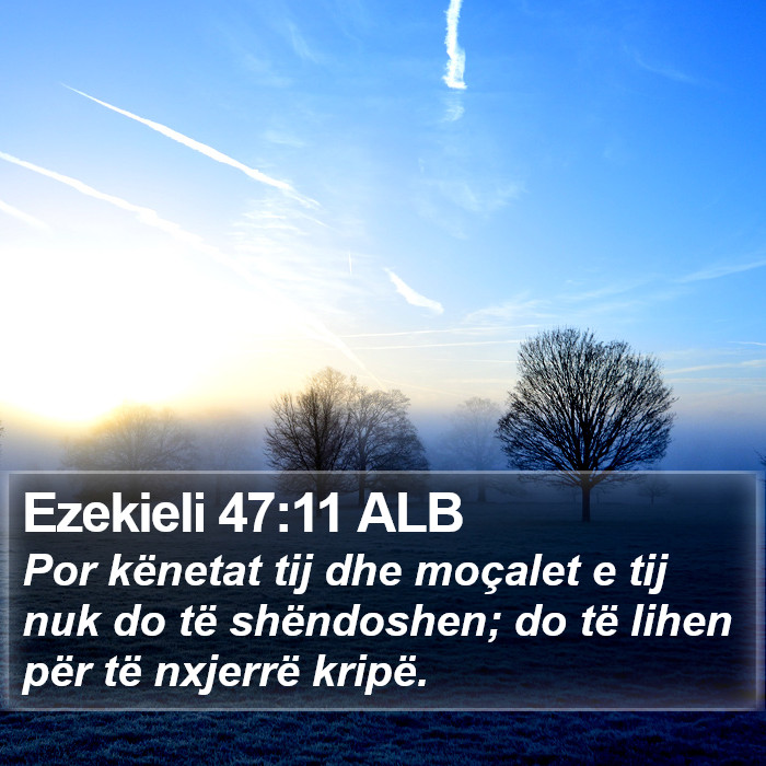 Ezekieli 47:11 ALB Bible Study