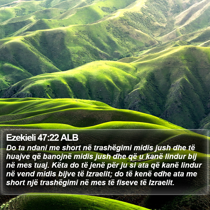 Ezekieli 47:22 ALB Bible Study