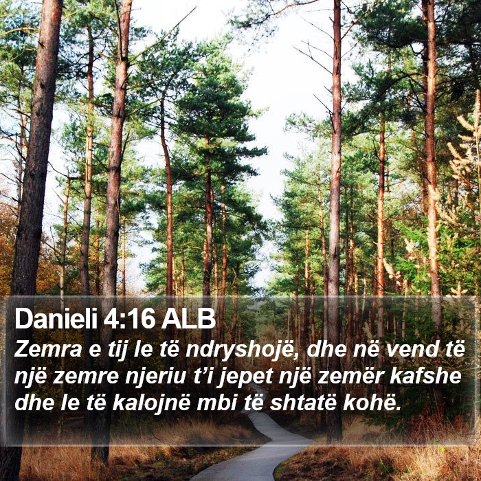 Danieli 4:16 ALB Bible Study