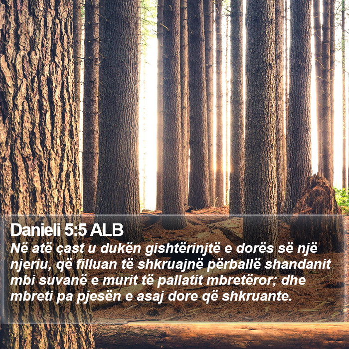 Danieli 5:5 ALB Bible Study