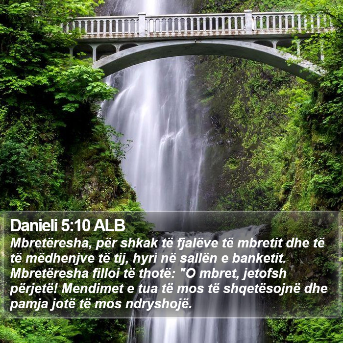 Danieli 5:10 ALB Bible Study