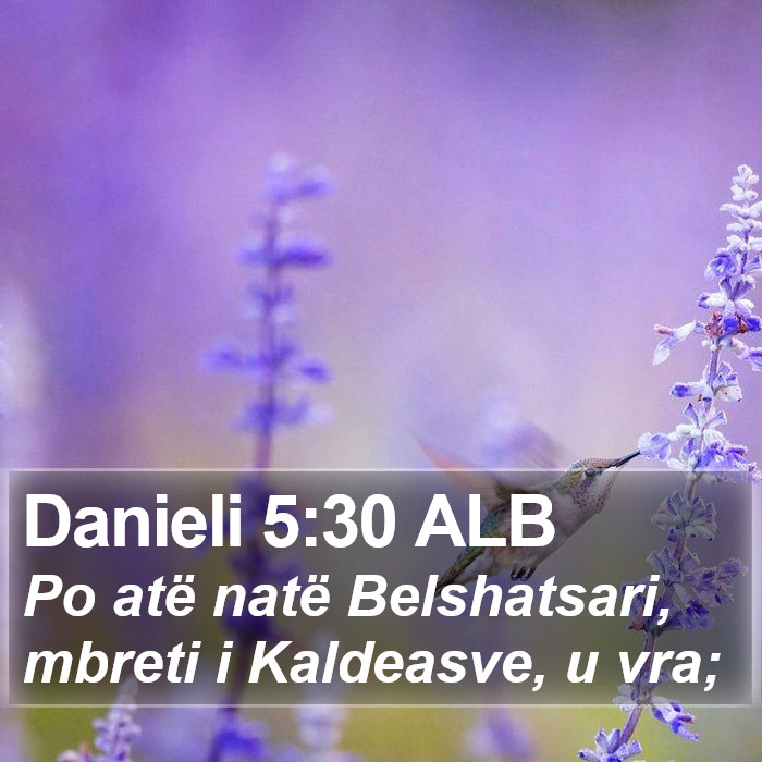 Danieli 5:30 ALB Bible Study