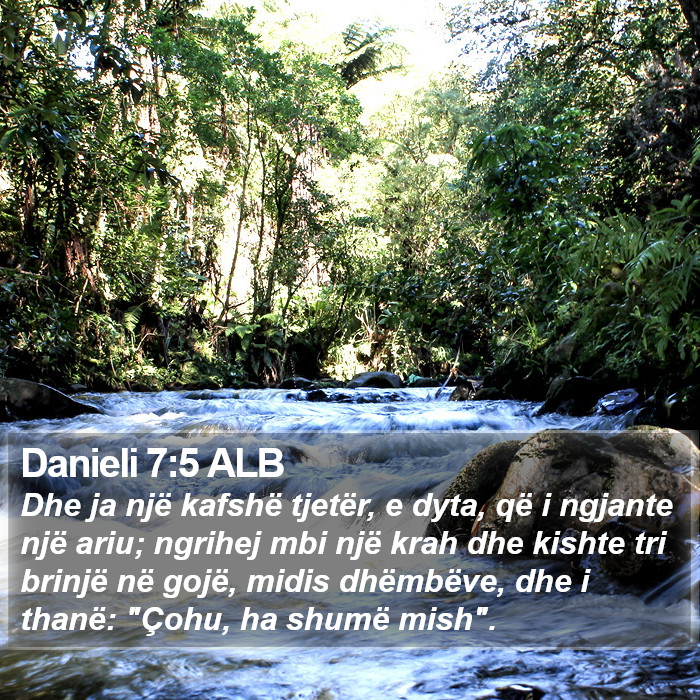 Danieli 7:5 ALB Bible Study