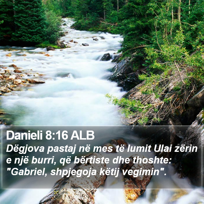 Danieli 8:16 ALB Bible Study