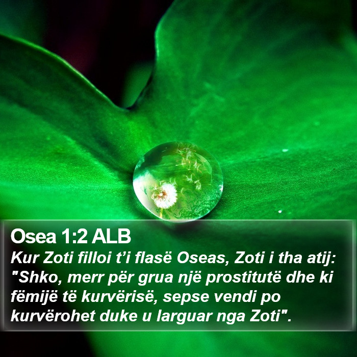 Osea 1:2 ALB Bible Study