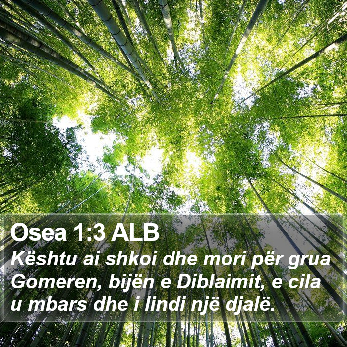 Osea 1:3 ALB Bible Study