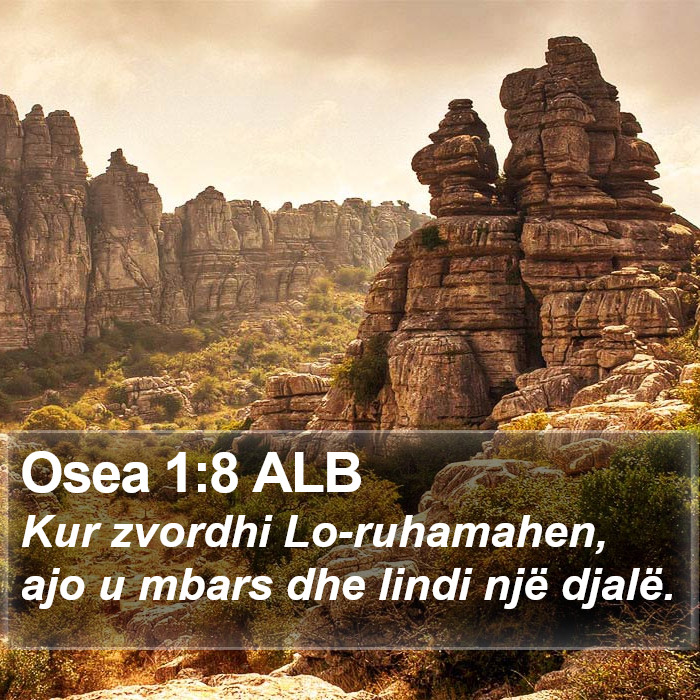 Osea 1:8 ALB Bible Study