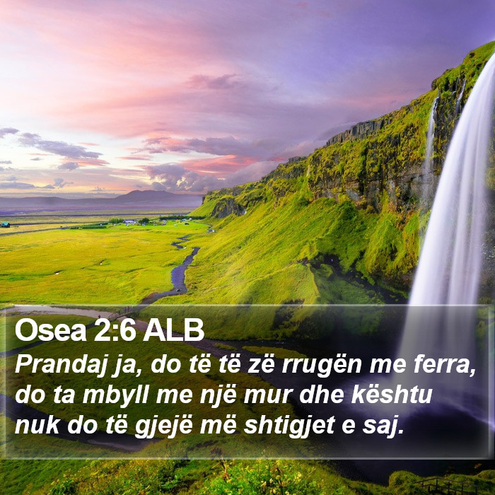 Osea 2:6 ALB Bible Study