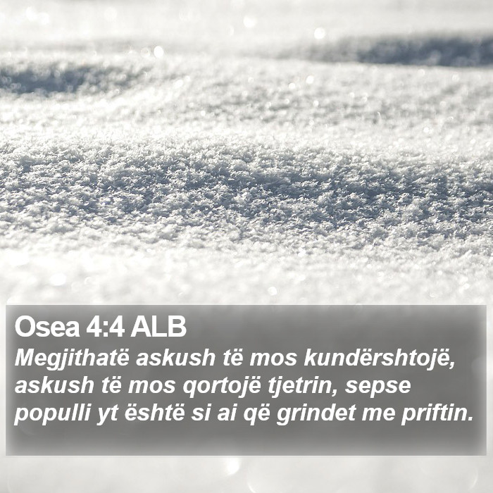 Osea 4:4 ALB Bible Study