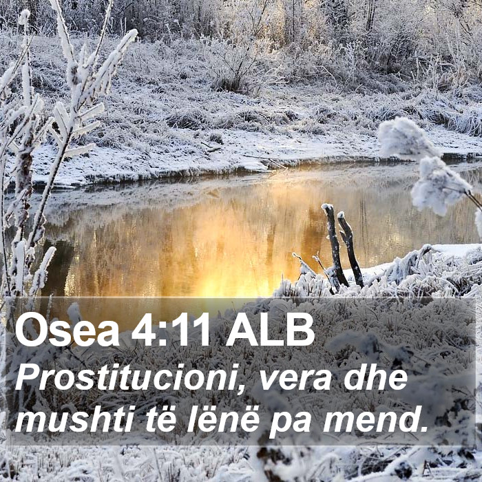 Osea 4:11 ALB Bible Study