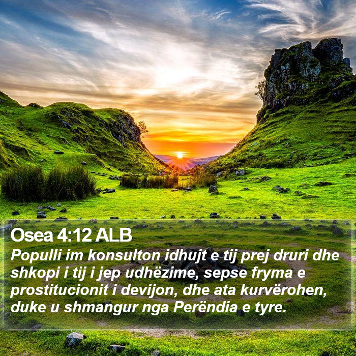 Osea 4:12 ALB Bible Study