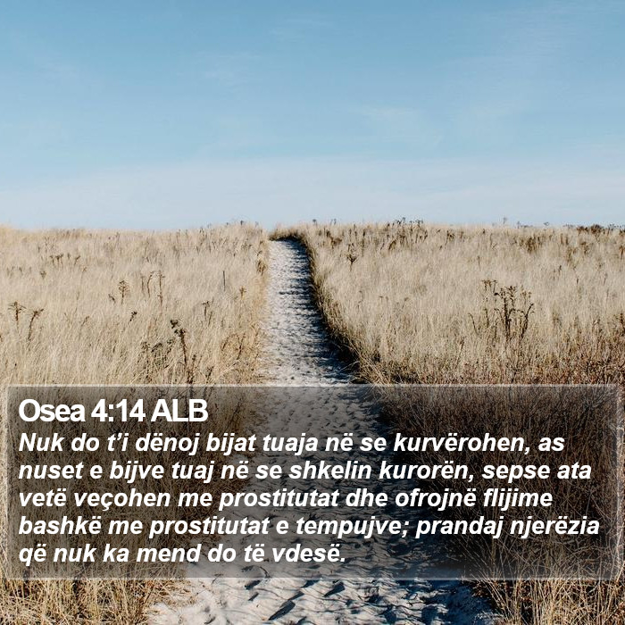 Osea 4:14 ALB Bible Study