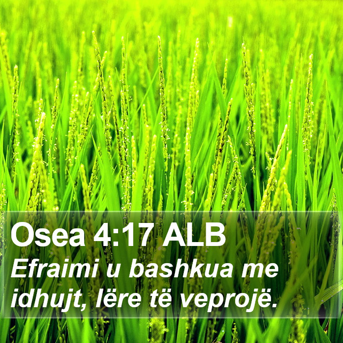 Osea 4:17 ALB Bible Study