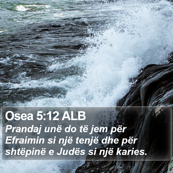 Osea 5:12 ALB Bible Study