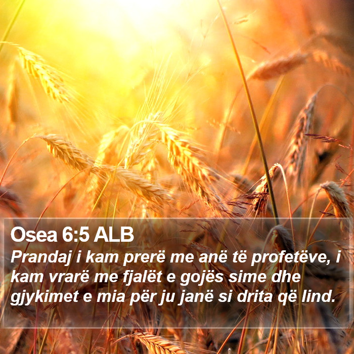 Osea 6:5 ALB Bible Study