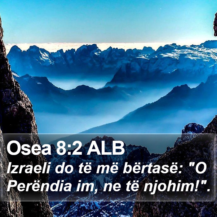 Osea 8:2 ALB Bible Study