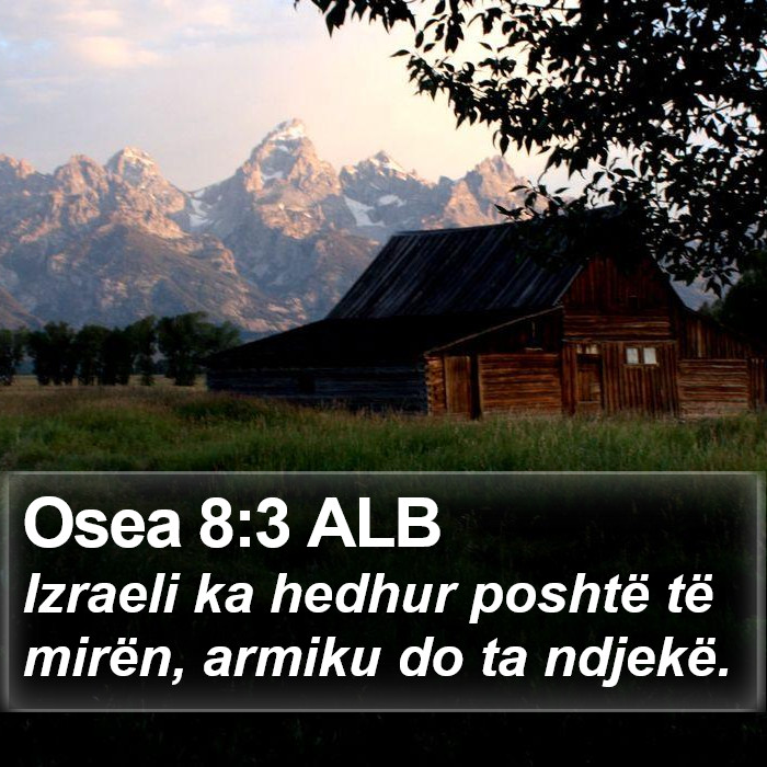 Osea 8:3 ALB Bible Study