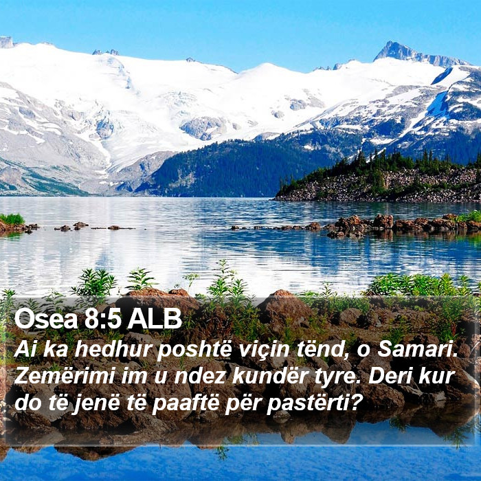 Osea 8:5 ALB Bible Study