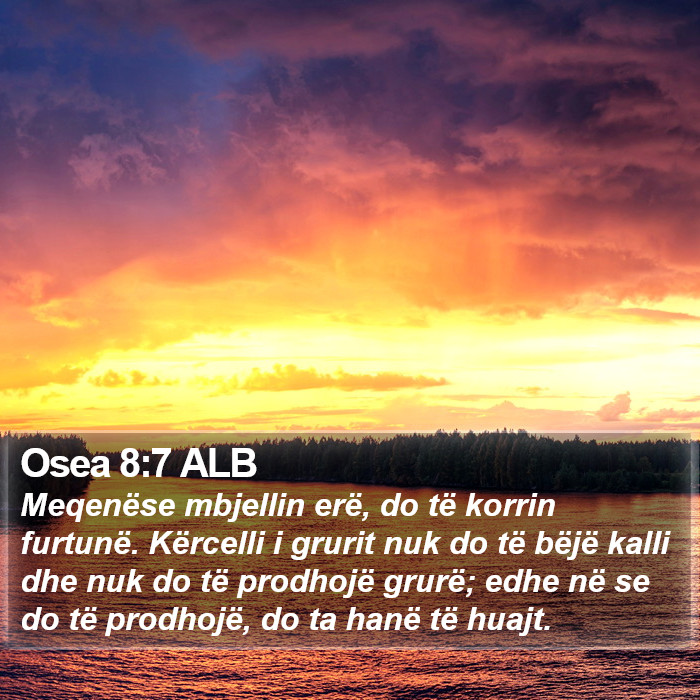 Osea 8:7 ALB Bible Study