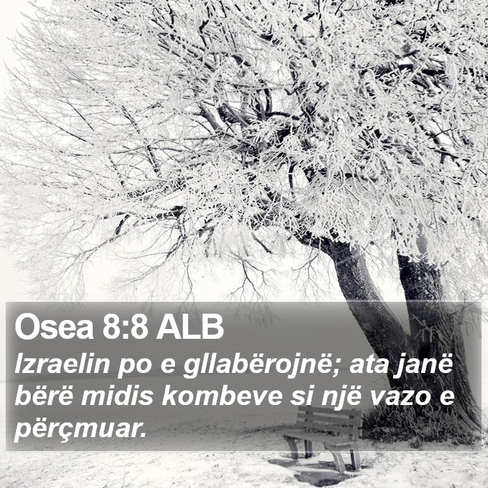 Osea 8:8 ALB Bible Study