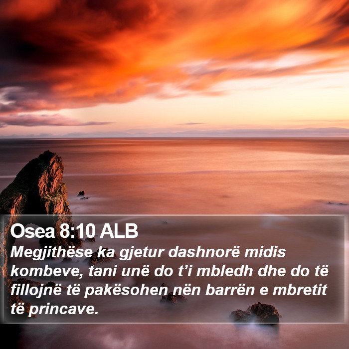 Osea 8:10 ALB Bible Study