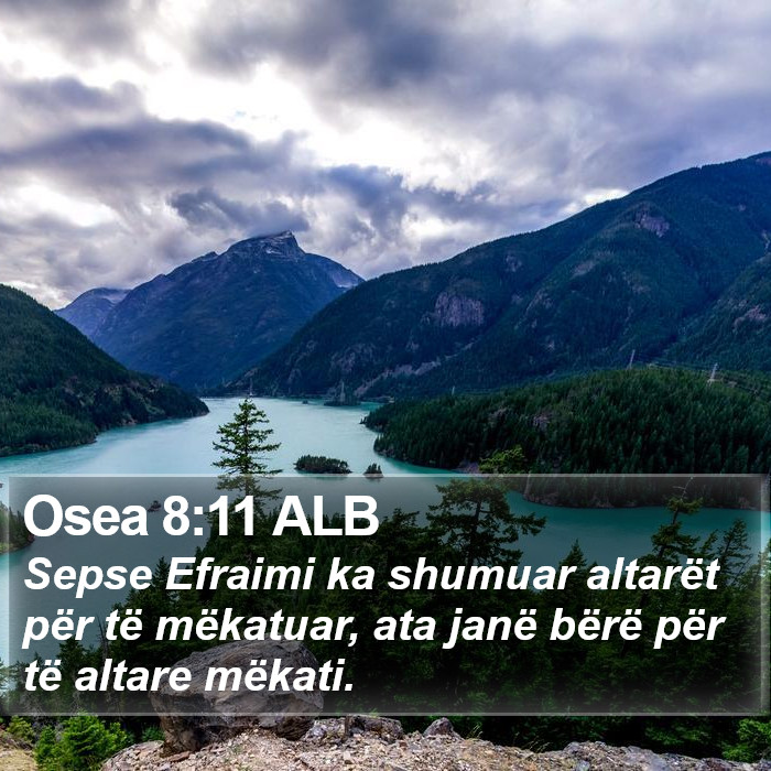 Osea 8:11 ALB Bible Study